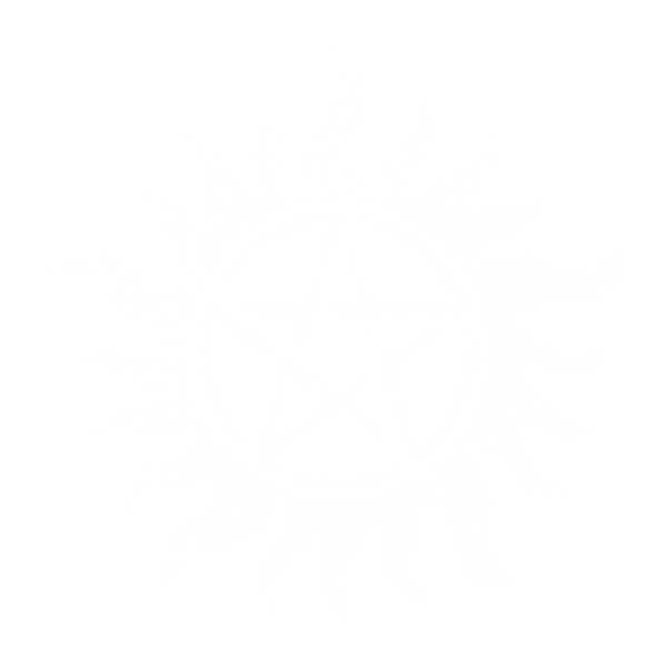 File:Winchester Family.png