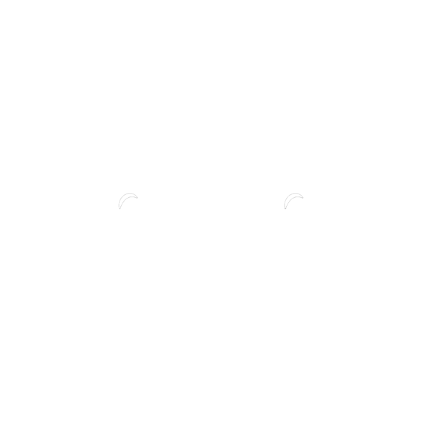 File:Shreck's Department Store Logo.png