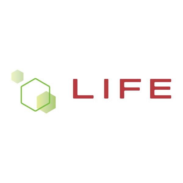 File:Life Foundation.png
