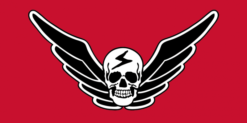 File:Flag Shadaloo.png