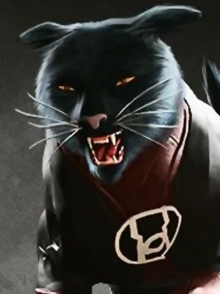 File:Dex-Starr.png