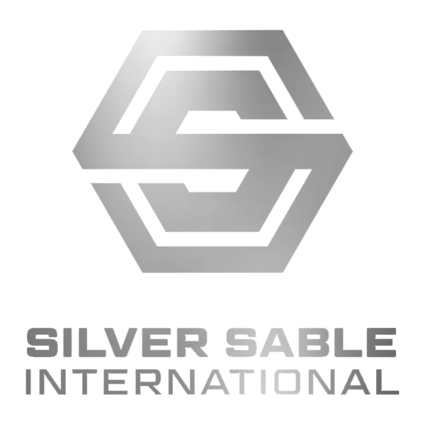 File:Silver Sable International.png