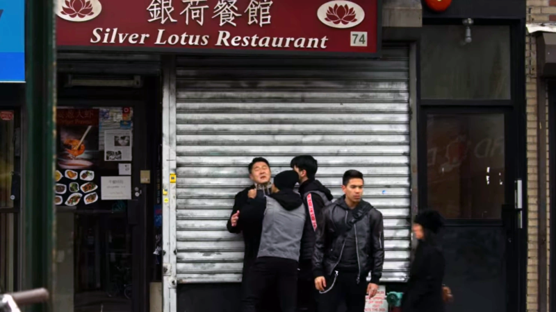 File:Silver Lotus.png