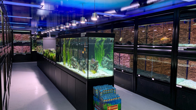 File:4th Ave Pet Store.png