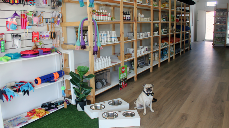 File:Woody's Pet Shop.png