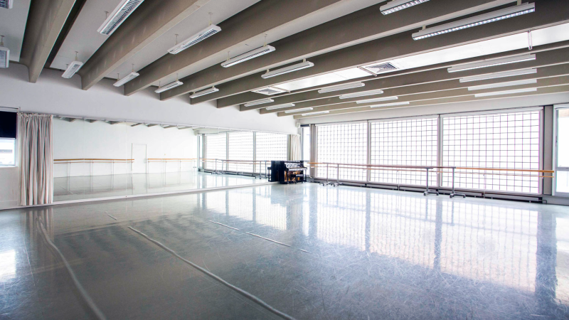 File:Ms. Hunter's Dance Academy.png