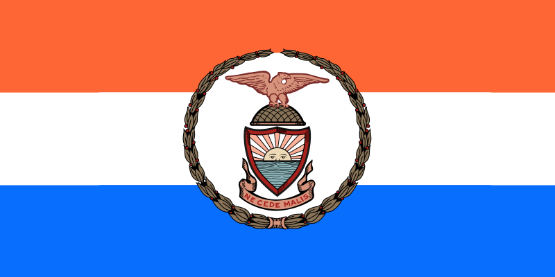 File:Flag The Bronx.png