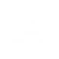 Thumbnail for version as of 04:34, 25 January 2022