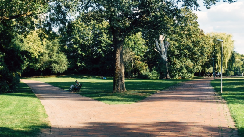 File:Rowayton Dog Park.png