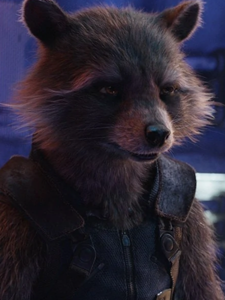 File:Rocket Raccoon.png