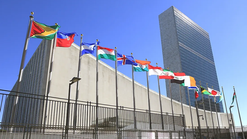 File:United Nations.png